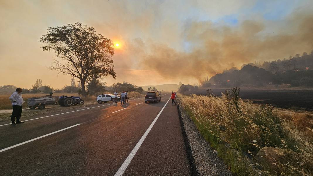 Çanakkale'deki Tarihi Alan'ın güney hattı ziyarete açıldı! Orman yangınında kapatılmıştı - Resim: 50